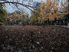 -四川大学(华西校区)