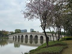 -顺峰山公园
