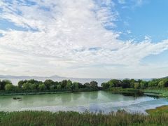 -上海市保健医疗中心