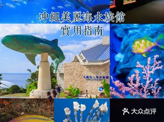 冲绳美丽海水族馆实用指南
