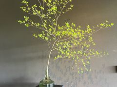 -木守西溪溪隐餐厅