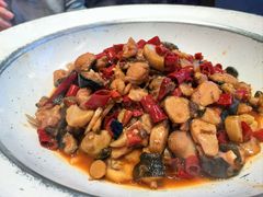 -印象鲵宴·张家界地标美食名片(溪布街店)