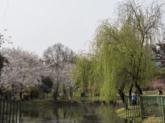 -堤角公园