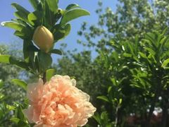 -白塘生态植物园