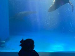 -皇家极地海洋世界-售票处