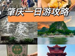 -鼎香皇高佬苏裹蒸粽