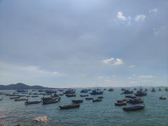 -海源公园