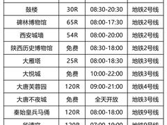 -定家小酥肉·清真(回民街店)