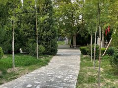 -大槐树寻根祭祖园