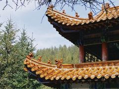 -芦芽山旅游度假区