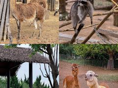 -济南野生动物世界