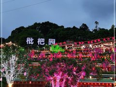 -枇杷园食为鲜火锅(南山店)