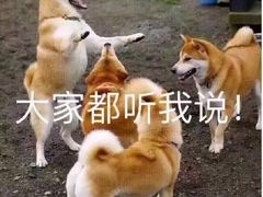 -天河体育中心