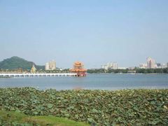 -龙虎塔