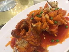 松鼠桂鱼-金时代顺风大酒店(协泰店)