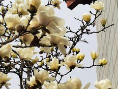 -中国中医科学院西苑医院(本部)