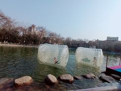 -莲湖公园