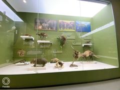 -国家自然博物馆