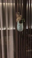 -肥三针腧穴瘦身馆