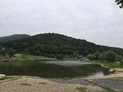 -龙寺生态园