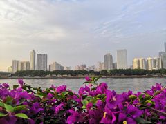 -珠江夜游广州塔·中大码头