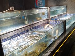 水产区-喜庭海鲜自助(北辰三角洲北辰荟店)