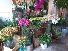 android_upload_pic-春暖花开(西溪店)