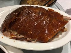 -沪碟·精菜坊(闵行店)