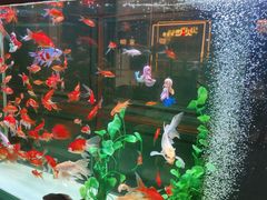 -雀蓝川菜(奥体广场店)