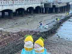 -苏小糖(鼓浪屿三丘田花园店)