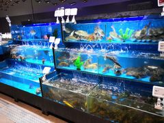 水产区-盒马鲜生(馥邦国际店)