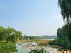 -大兴滨河森林公园