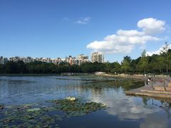 -新江湾城公园