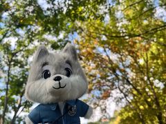 -狼山风景名胜区