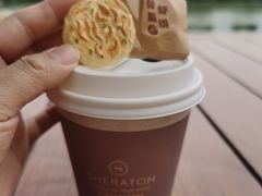 -常州武进九洲喜来登酒店