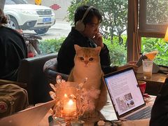 -咖法森林·咖啡  酒吧(天河店)