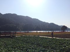 -广州市石门国家森林公园