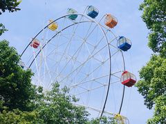 -红山森林动物园