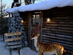 -HERRE·FARM 赫尔露营农场·团建聚会包场