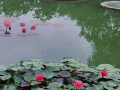 -国家植物园南园