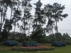 -保利石象湖景区