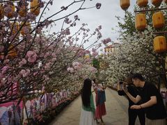 -光明农场大观园