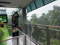 -圣淘沙天际线斜坡滑车