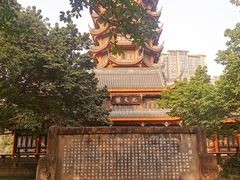 -塔子山公园