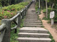 -梧桐山风景名胜区