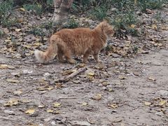 -复旦大学附属肿瘤医院(徐汇院区)