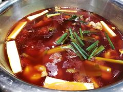 青蛙-楚湘苑(商品街大道店)