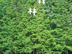 -桤木河湿地公园