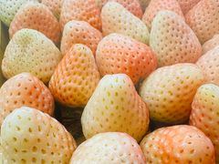 -牛YO寿喜烧和牛火锅自助(三台子万象汇店)