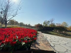 -东郊湿地公园
